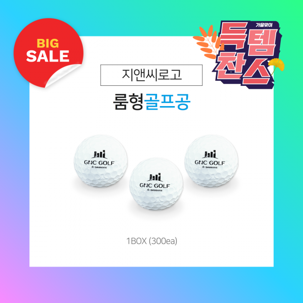 지앤씨골프마켓,[룸형] 지앤씨로고 골프공 (정품)